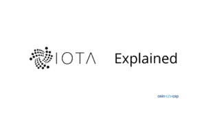 IOTA Coin Explained