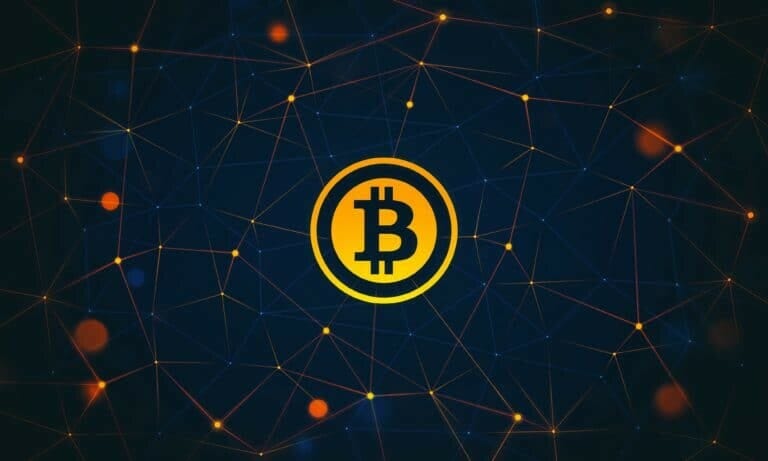The Bitcoin Web !