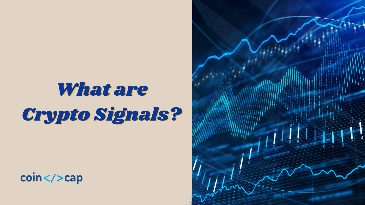 What Are Crypto Signals