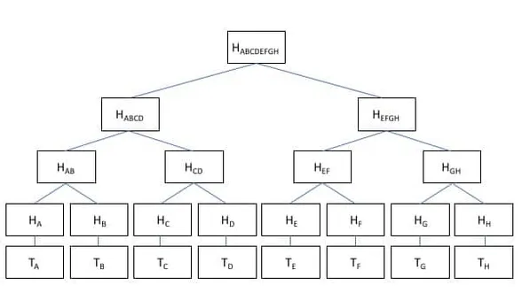 Binary Merkle Tree