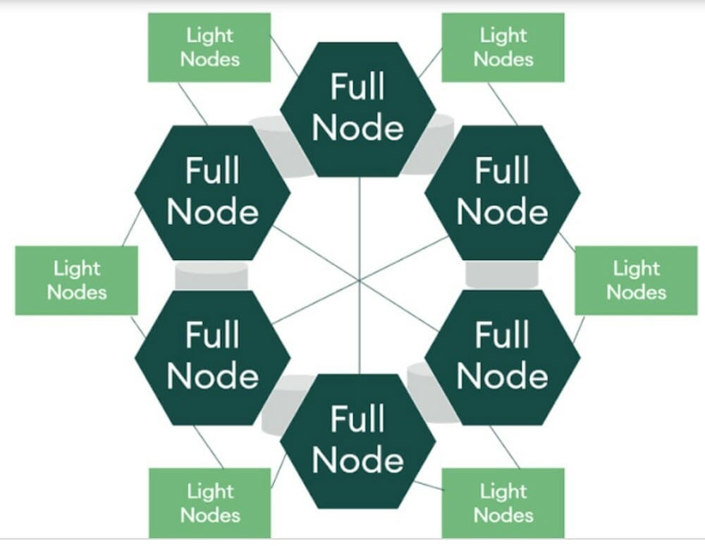 Types Of Nodes