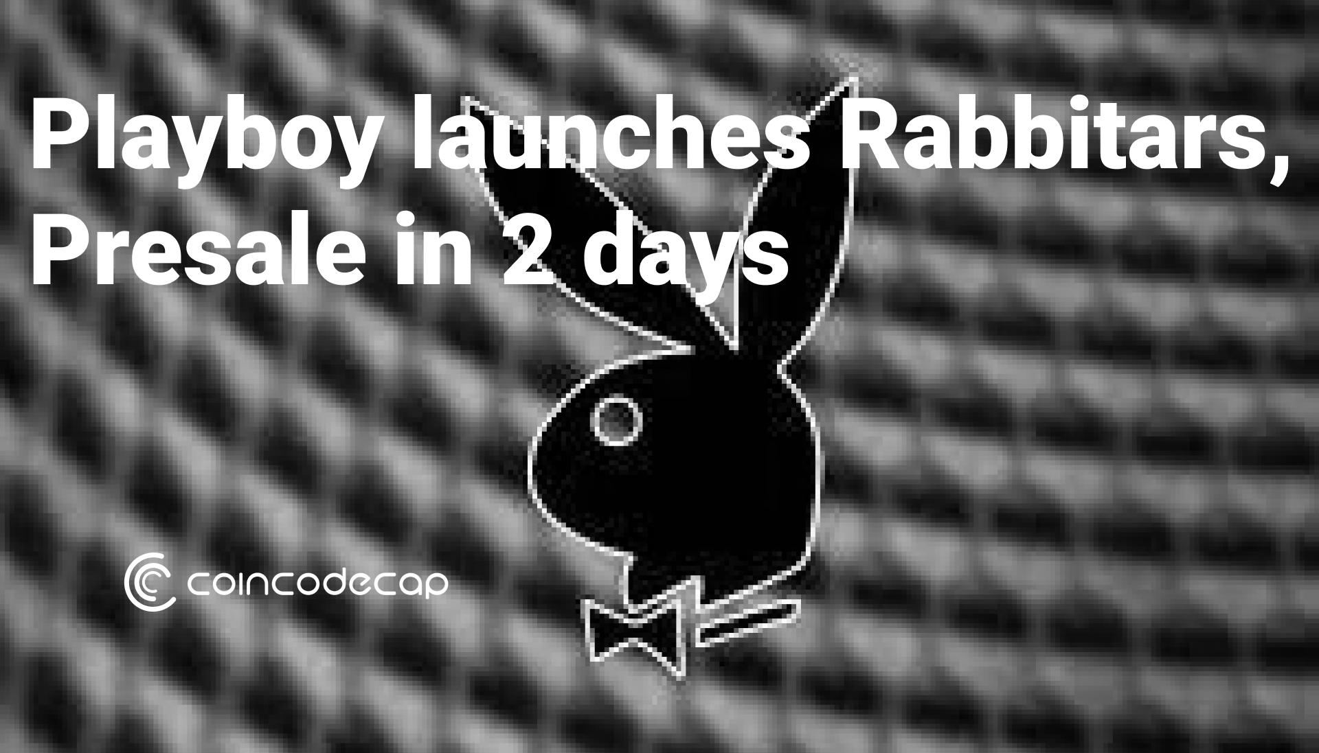 Playboy Launches Rabbitars