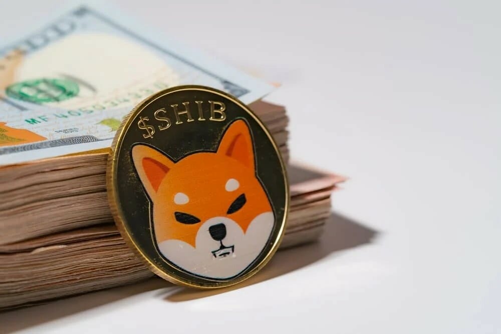Shiba Inu Gains 10% In 24H As Ethereum Whale Buys $11M In Shib