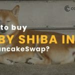 How to buy Baby Shiba INU on PancakeSwap?