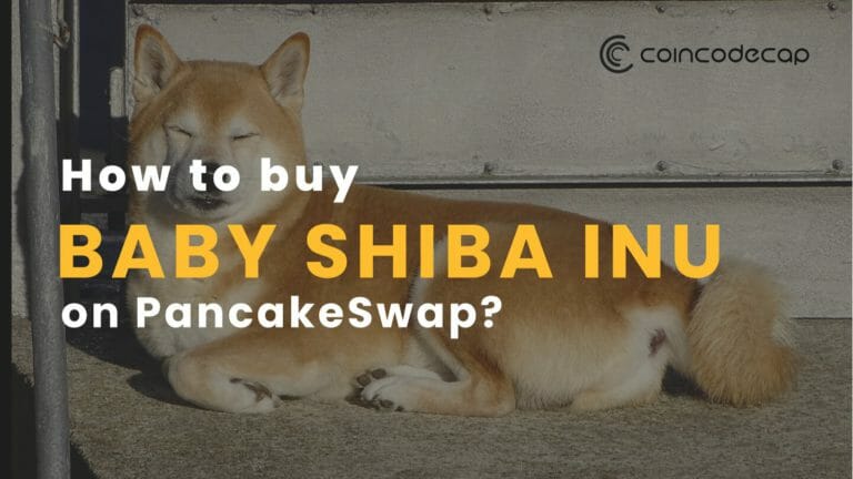 How To Buy Baby Shiba Inu On Pancakeswap?