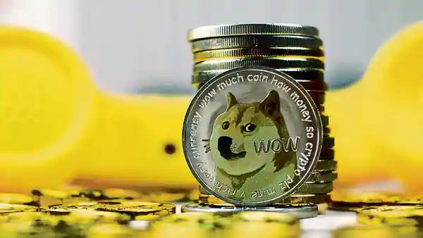 Elon Musk Has Raised The Value Of The Shiba Inu By More Than 20%
