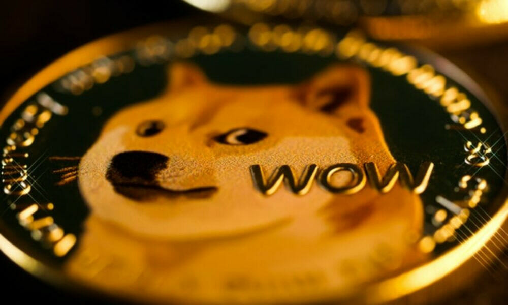 Shiba Inu, Dogecoin, Floki Inu Boom Reveals This About Crypto Investors’ Psyche