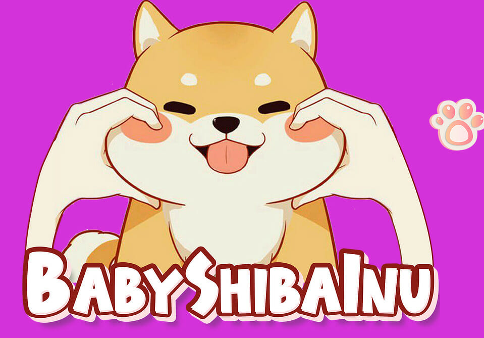 Baby Shiba Inu