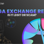 Kanga Exchange Review