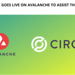 Circle's USDC Goes Live on Avalanche to Assist the DeFi Ecosystem