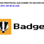 The Badger DAO Protocol Succumbs to an Exploitation