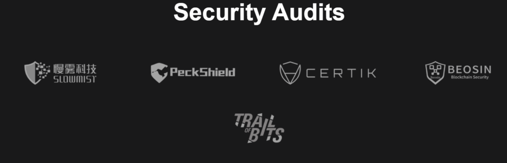 Security Audits 