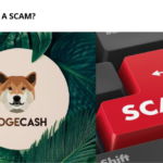 Is DOGECASH a Scam?