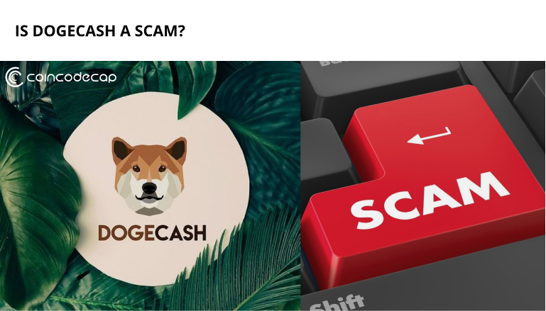 Is Dogecash A Scam?