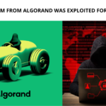 Tinyman AMM From Algorand was Exploited for $3 Million