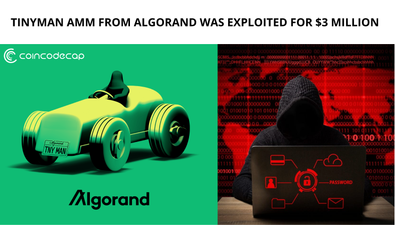 Tinyman Amm From Algorand Was Exploited For $3 Million