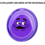 Fake Grimacecoin Jumps 285k% After McDonald's Tesla joke