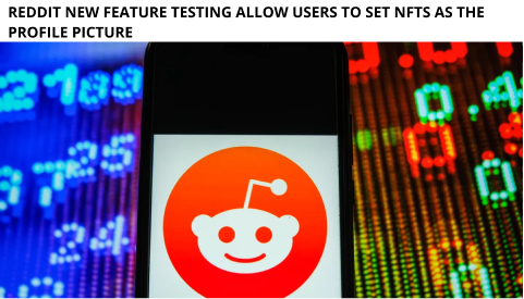 Reddit New Feature Testing Allow Users To Set Nfts As The Profile Picture