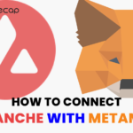 How to Connect Avalanche with MetaMask?
