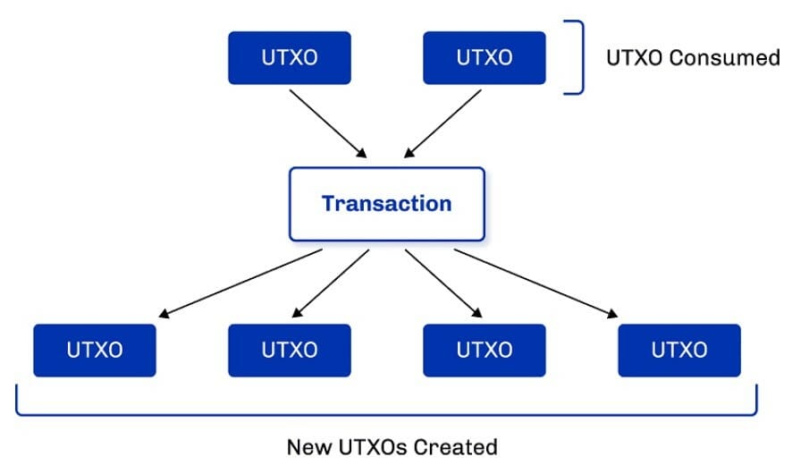 How Utxo Works