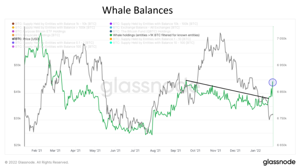 Whale Balances