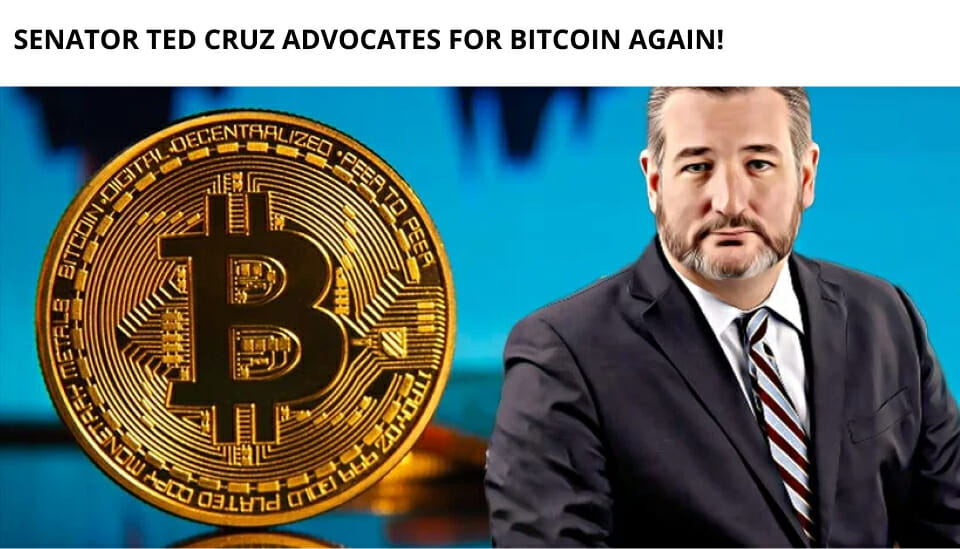 Senator Ted Cruz Advocates For Bitcoin Again!