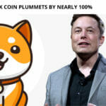 The Baby Musk Coin Plummets by Nearly 100%