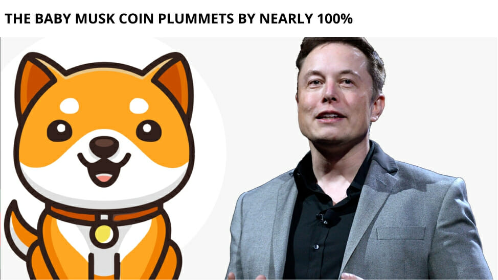 The Baby Musk Coin Plummets By Nearly 100%