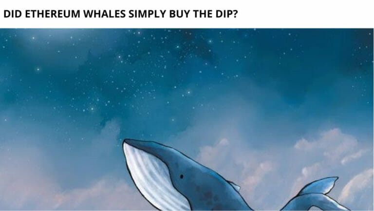 Did Ethereum Whales Simply Buy The Dip?