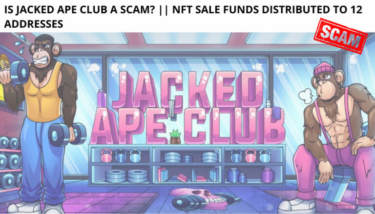 Is Jacked Ape Club A Scam? || Nft Sale Funds Distributed To 12 Addresses
