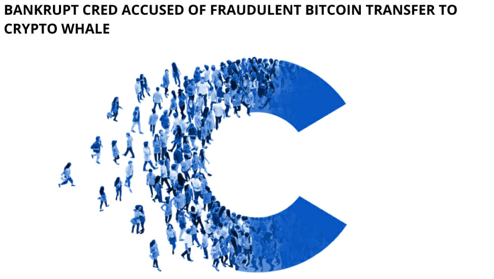 Bankrupt Cred Accused Of Fraudulent Bitcoin Transfer To Crypto Whale