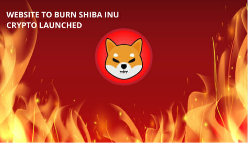 Shiba Inu Burn Portal