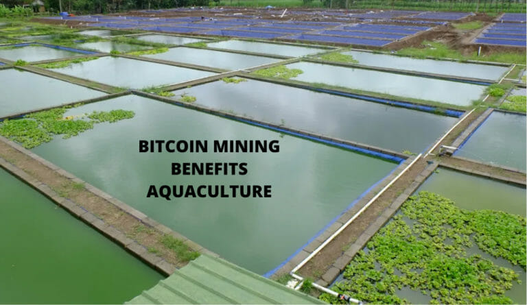 Aquaculture With Heatcore