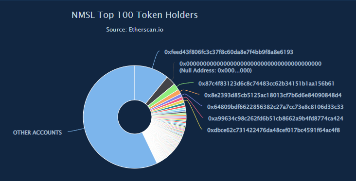 Top 100 Token Holding Wallets