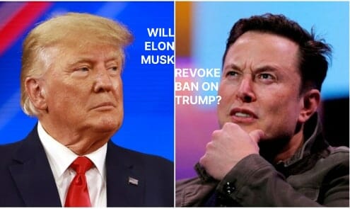 Elon Musk Plans On Uplifting Ban On Trump From Twitter