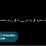 Yogies NFT Phishing Scam