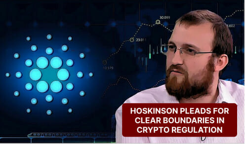 Hoskinson Request Clear Boundaries In Crypto Regulations