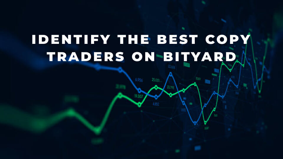 Identify The Best Copy Traders On Bityard