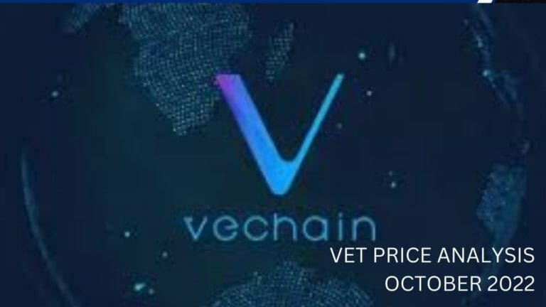 Vet Price Analysis October 2022