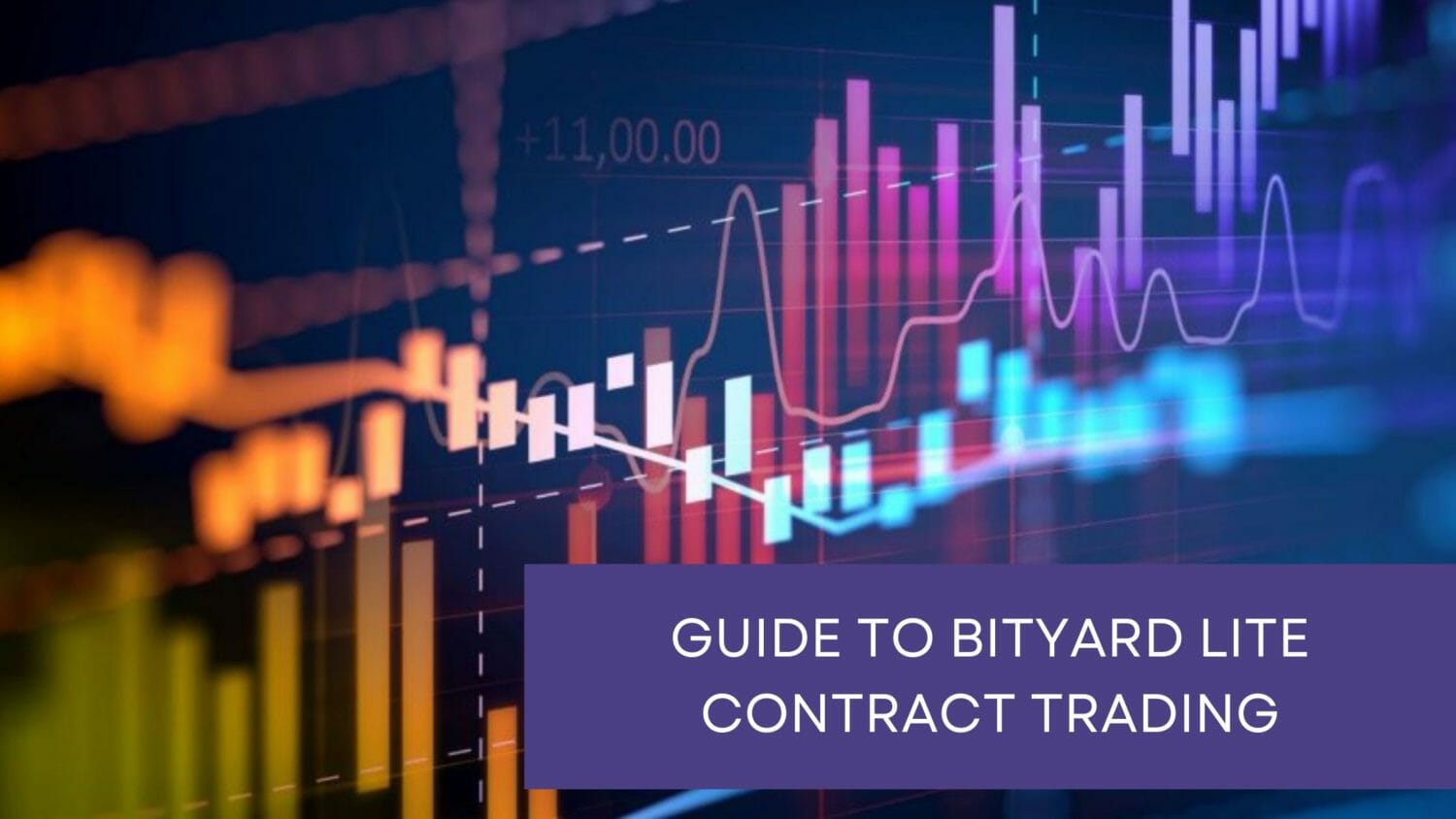Guide To Bityard Lite Contract Trading