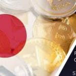 JAPAN MAY LOOSEN ITS RESTRICTION ON FOREIGN-ISSUED STABLECOINS