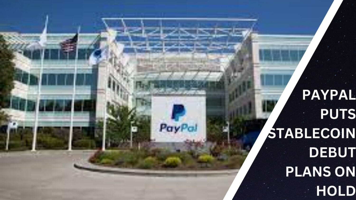 Paypal Puts Stablecoin Debut Plans On Hold
