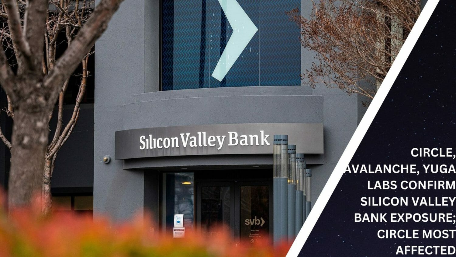 Circle,Avalanche, Yuga Labs Confirm Silicon Valley Bank Exposure; Circle Most Affected