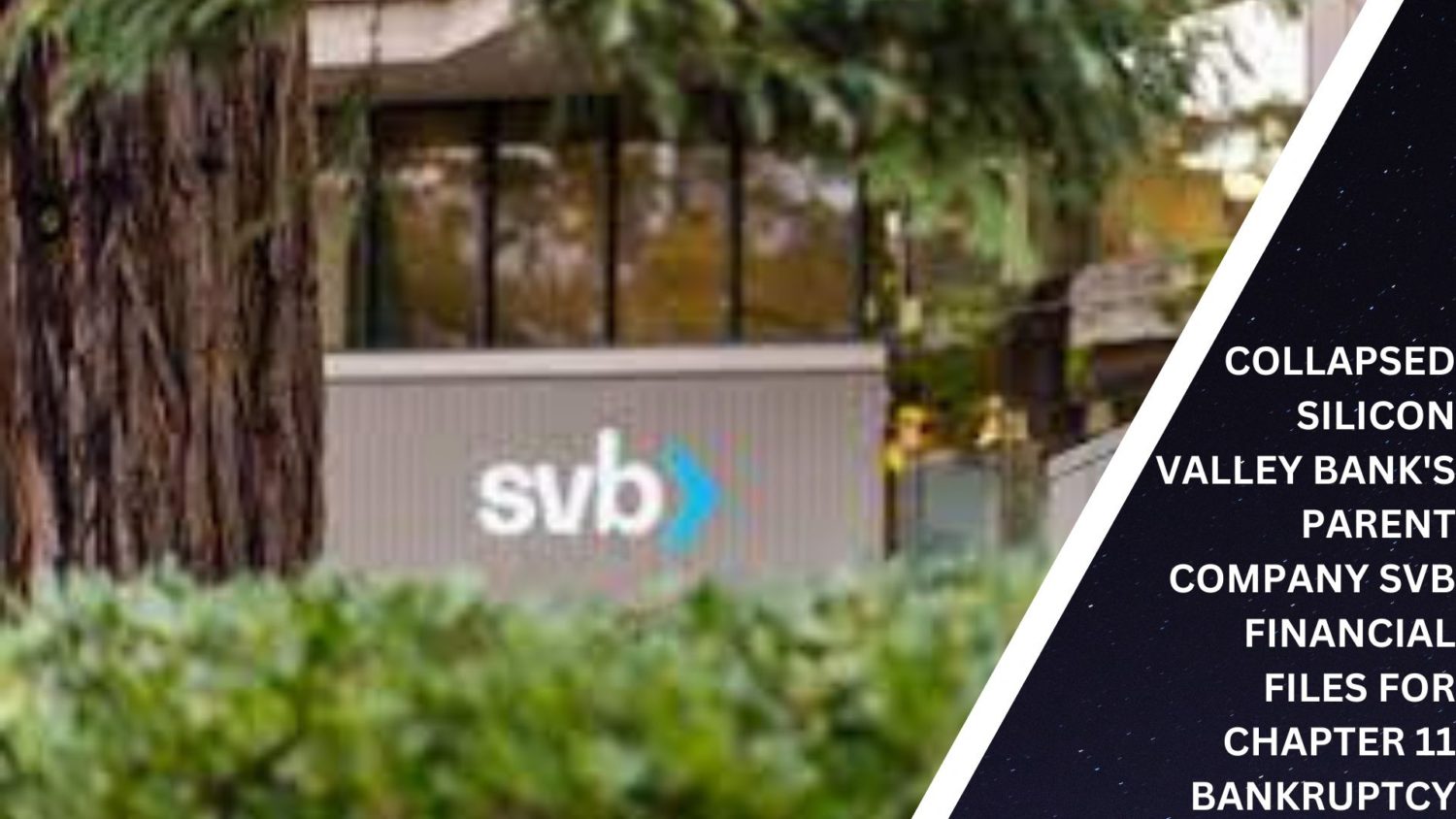Collapsed Silicon Valley Bank'S Parent Company Svb Financial Files For Chapter 11 Bankruptcy