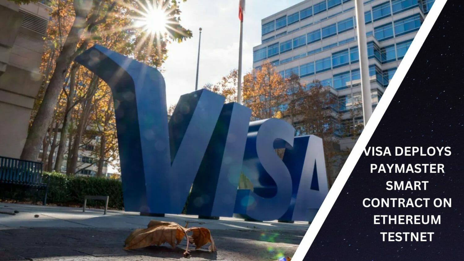 Visa Deploys Paymaster Smart Contract On Ethereum Testnet