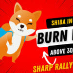 Shib burn rate