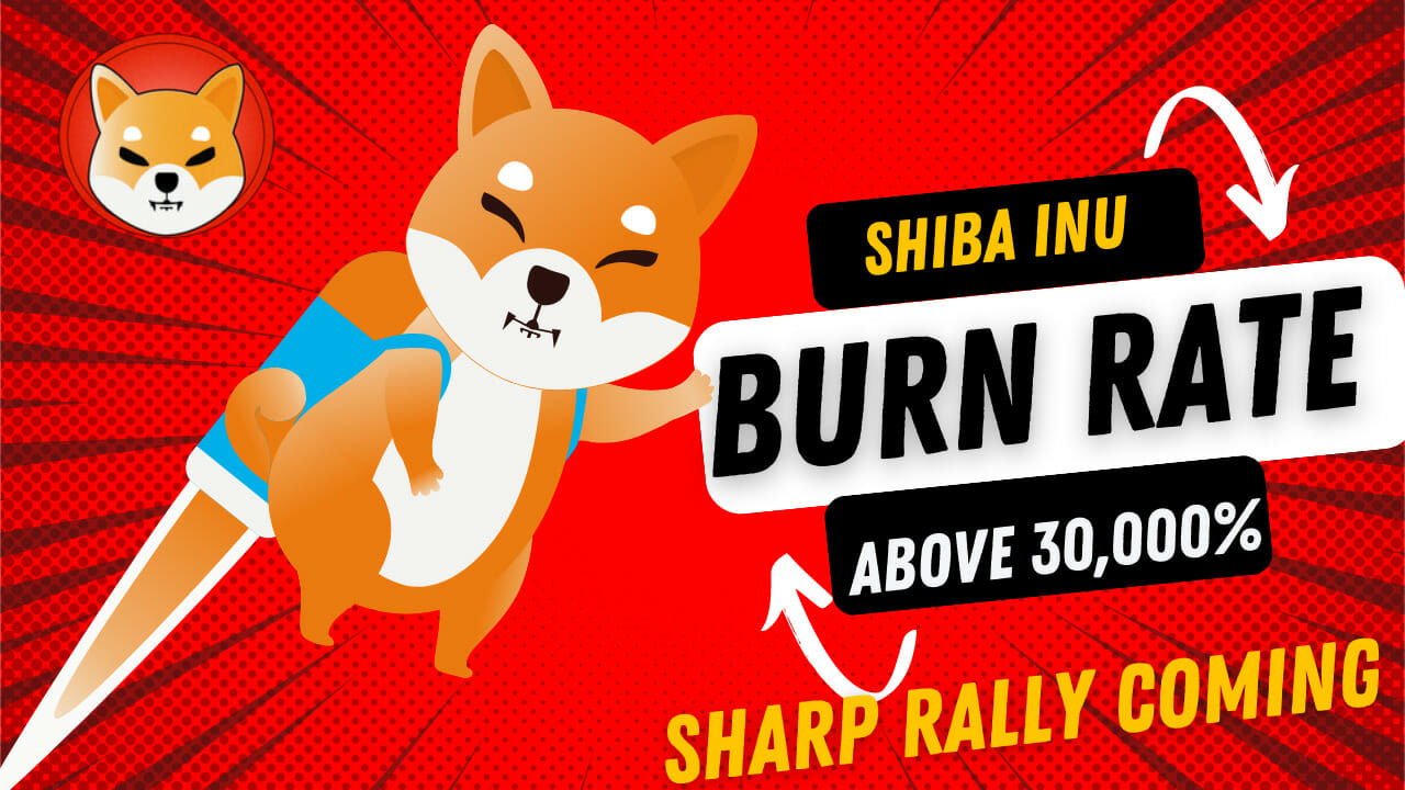 Shib Burn Rate