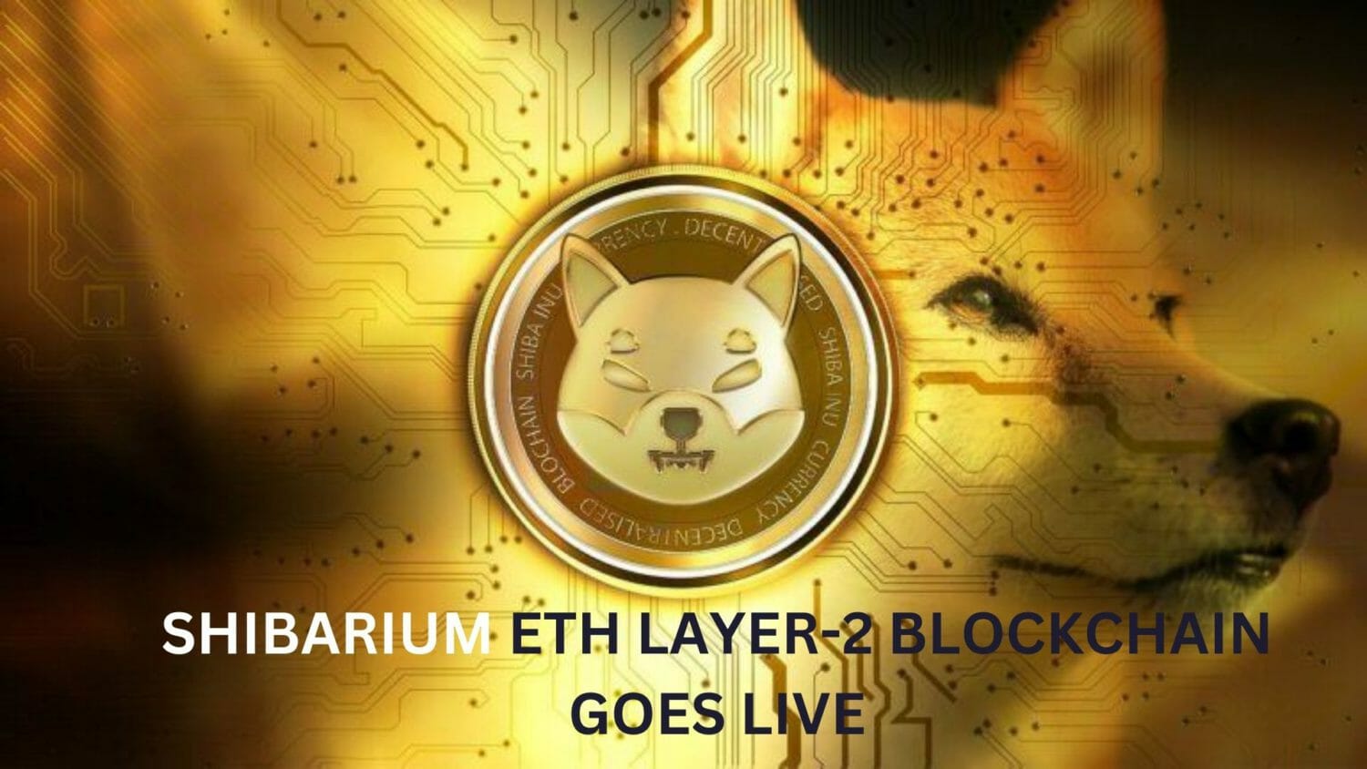Shiba Inu State Expands; Shibarium Eth Layer-2 Blockchain Goes Live