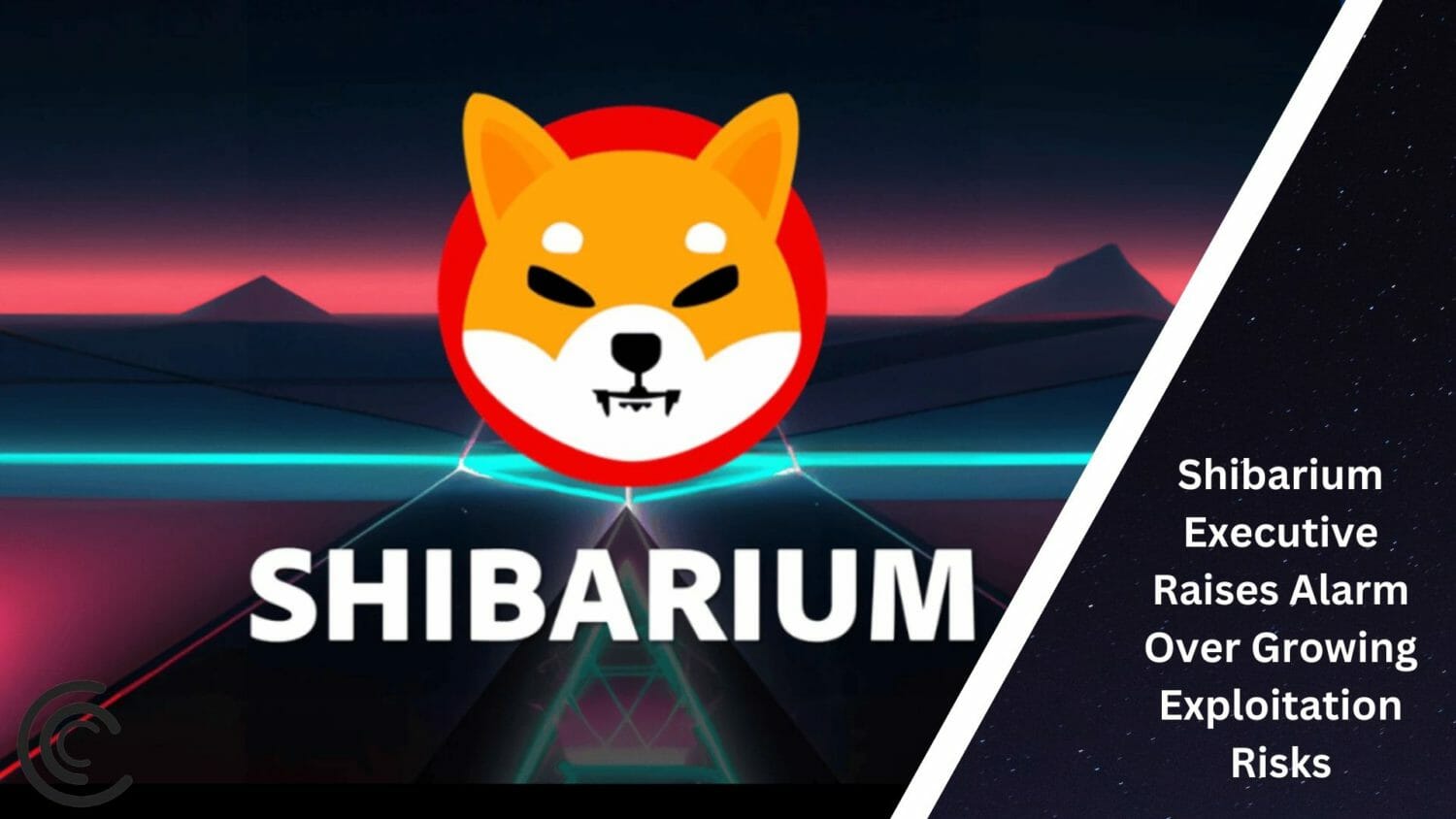 Shibarium Executive Raises Alarm Over Growing Exploitation Risks