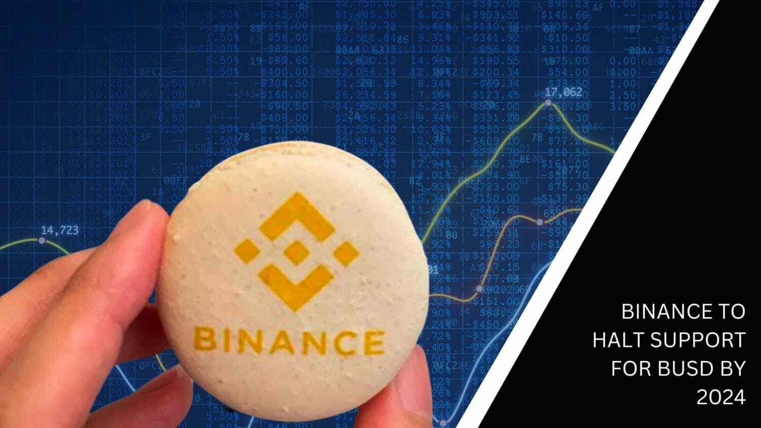 Binance To Halt Support For Busd By 2024